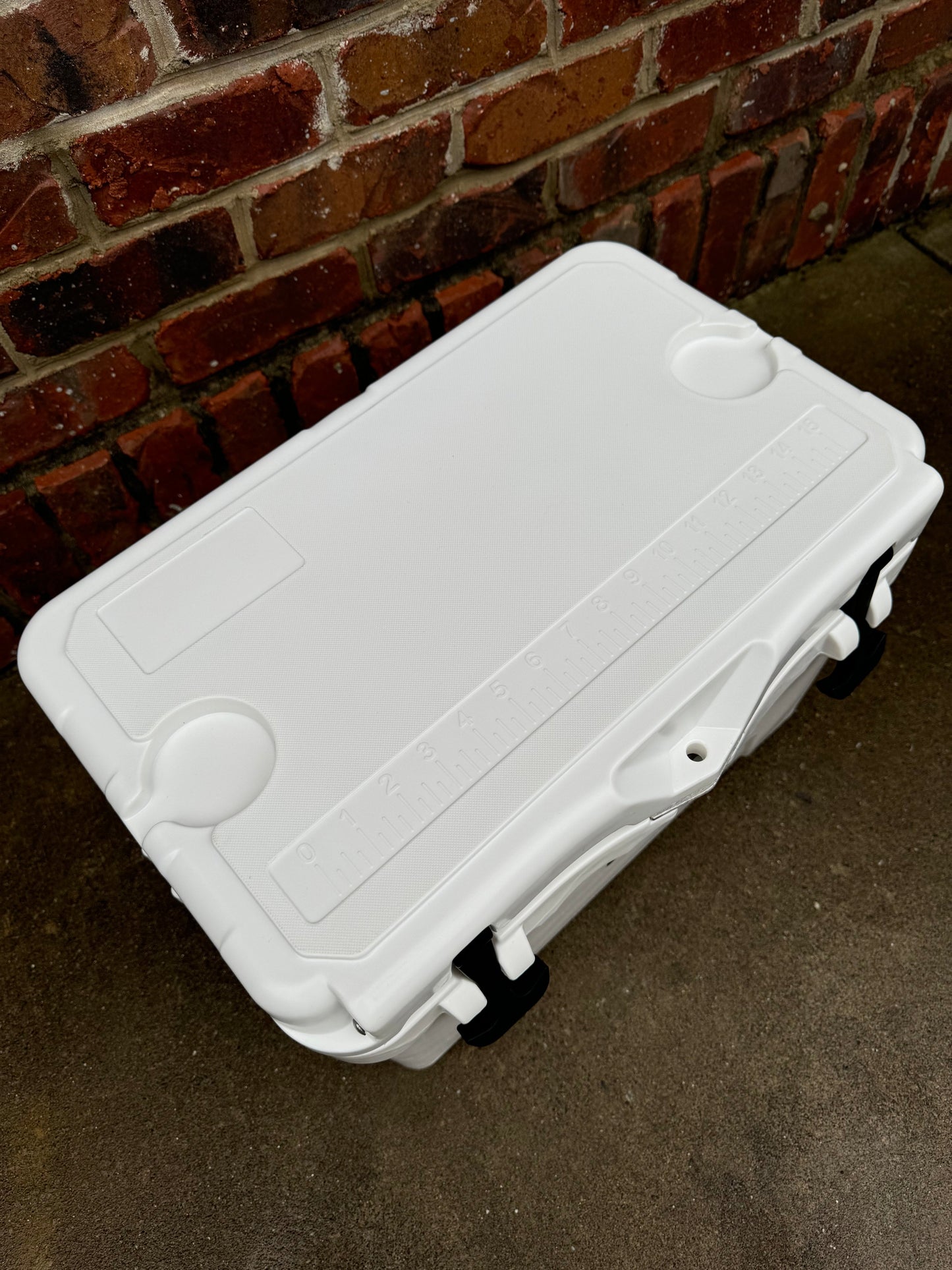Polar Bear 20 Hard Cooler from Polar Bear Coolers with a sturdy, insulated design and secure lid, ideal for outdoor adventures.