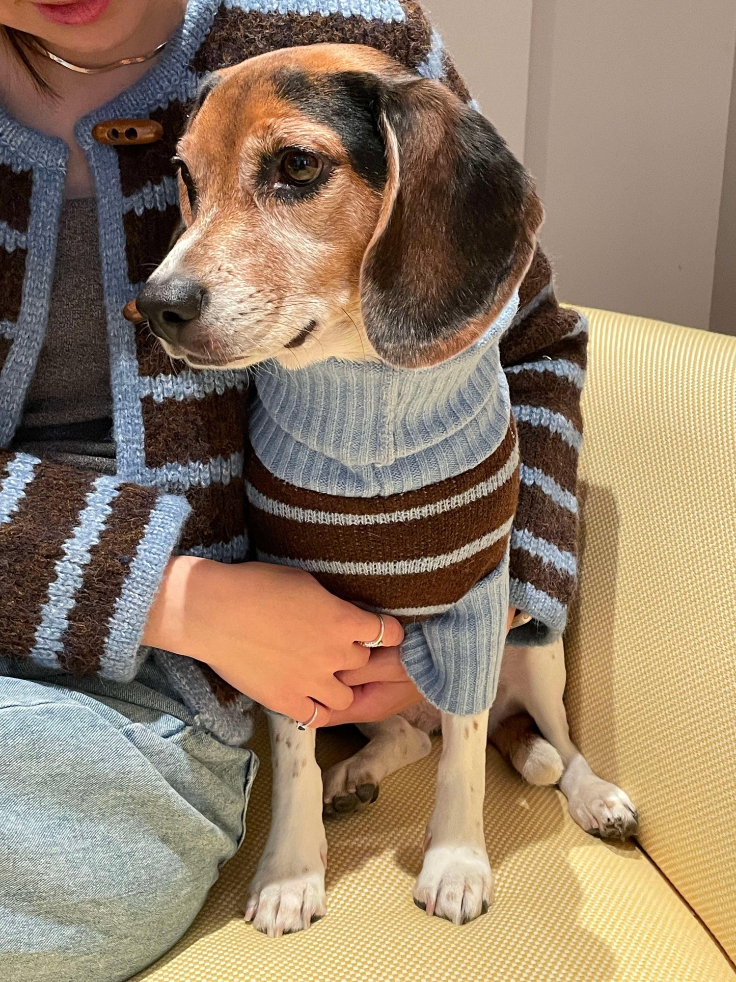 Bluebell Stripes Sweater by BarkBarkBaby featuring blue and white striped knit fabric, long sleeves, and cozy fit.