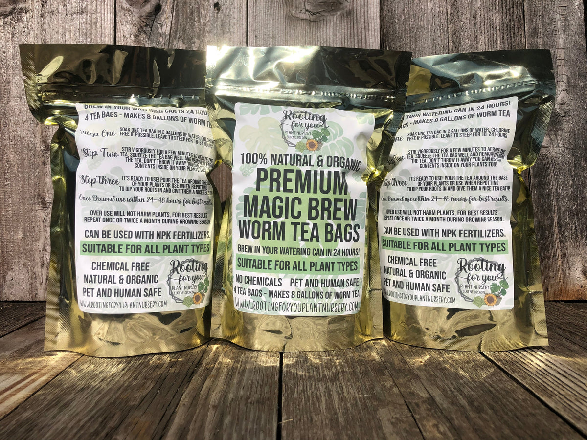 Organic Magic Brew Worm Tea Bags by Rooting For You Plant Nursery, 4 tea bags brewing in a watering can for nourishing plants.