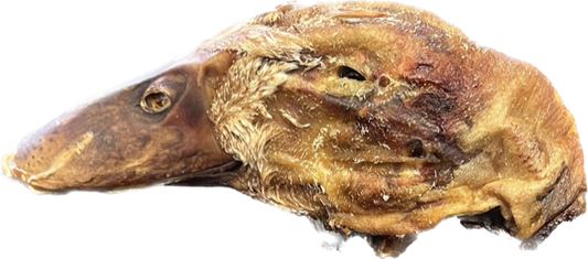 Bear's Bites duck heads, showing realistic rubber dog chew toys with textured surface and detailed duck head design.