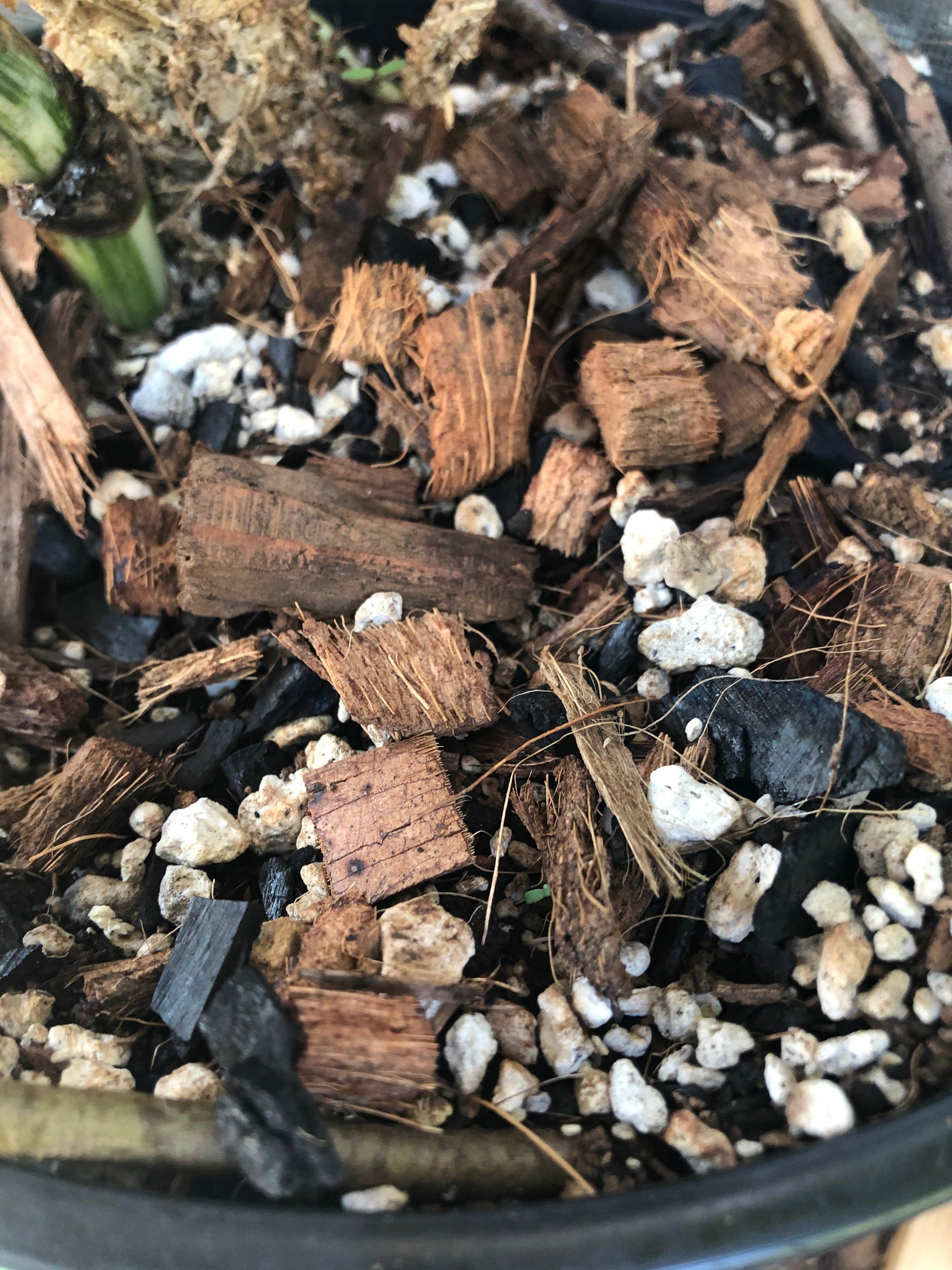 Premium tropical houseplant potting mix by Rooting For You Plant Nursery, showing a bag of general-purpose soil for tropical plants.