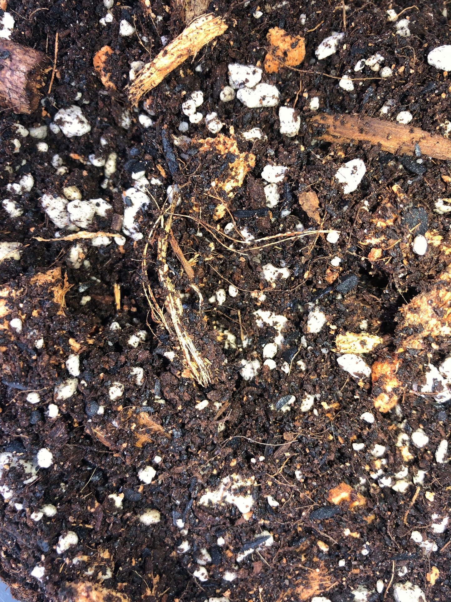 Premium tropical houseplant potting mix by Rooting For You, showcasing a bag of general-purpose soil for healthy tropical plants.