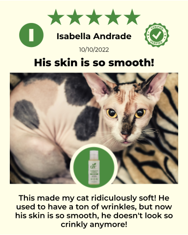 ReNewedPet 4-Hairless Pets Sensitive Conditioner bottle with label and brand logo on a white background.