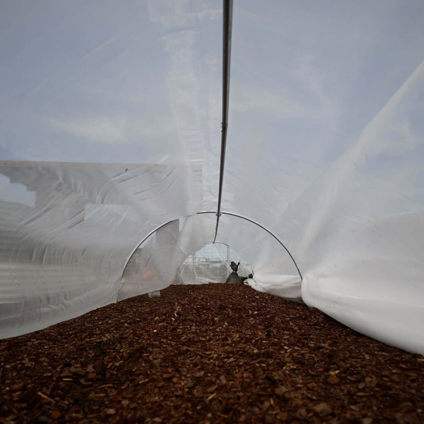 Heavy-duty insect netting from Bootstrap Farmer covering a low tunnel for pest protection and crop shielding.