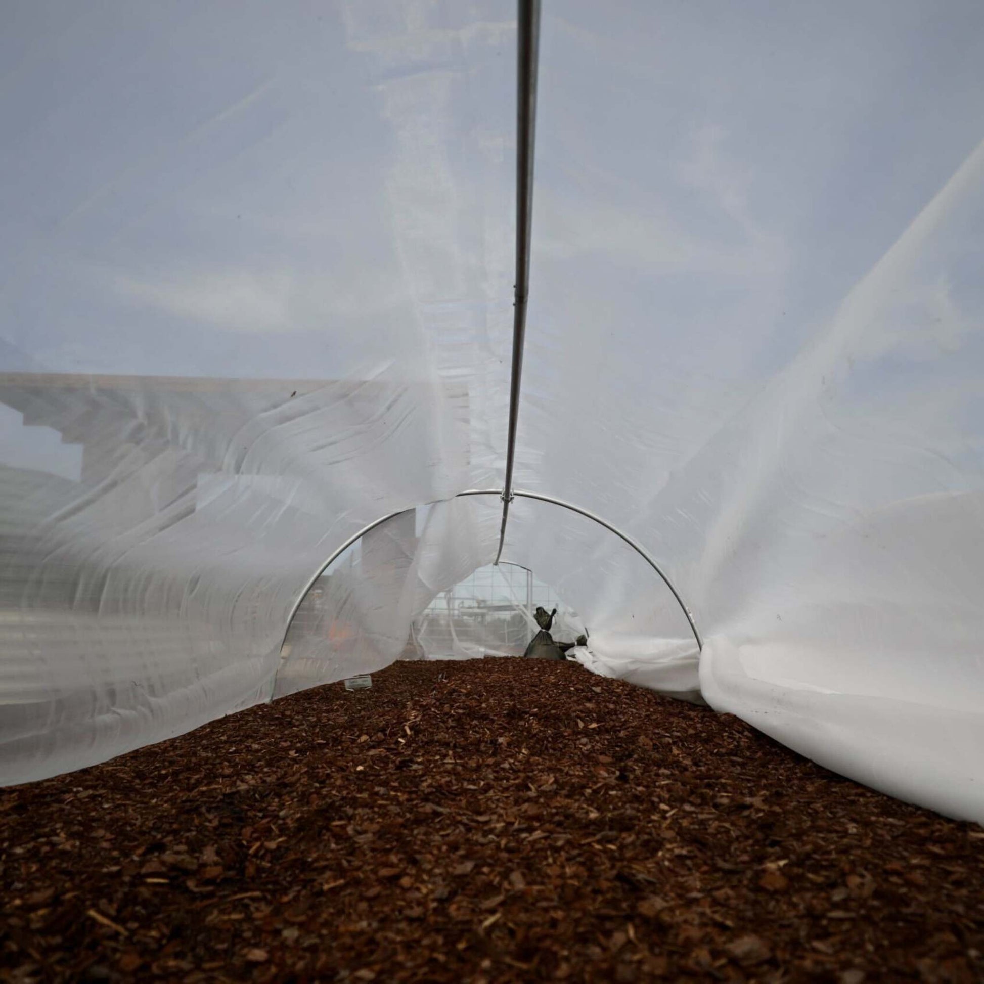 Heavy-duty insect netting from Bootstrap Farmer covering a low tunnel for pest protection and crop shielding.