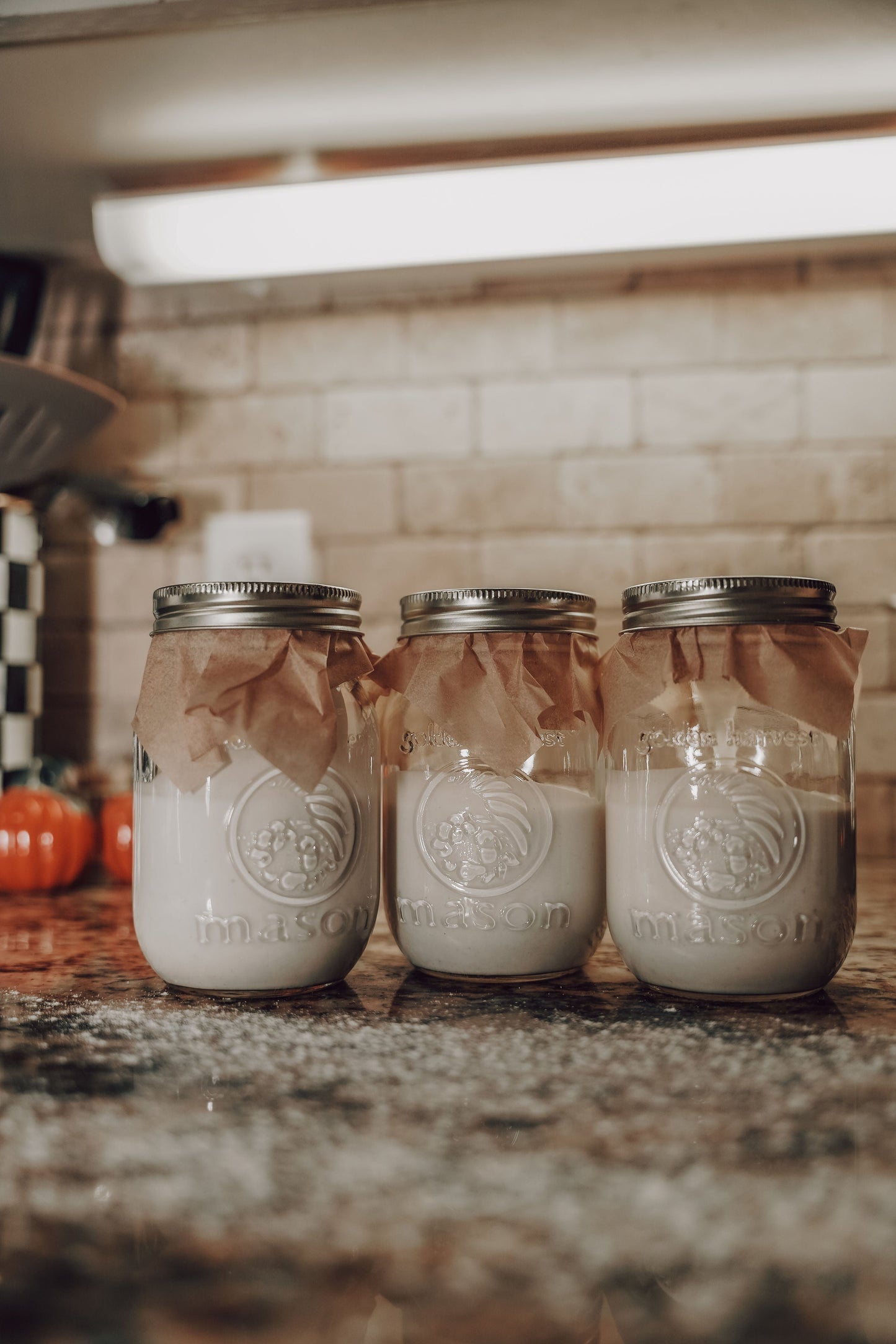 Onic Brands LLC sourdough starter jar with visible label and natural fermentation bubbles, ready for baking.