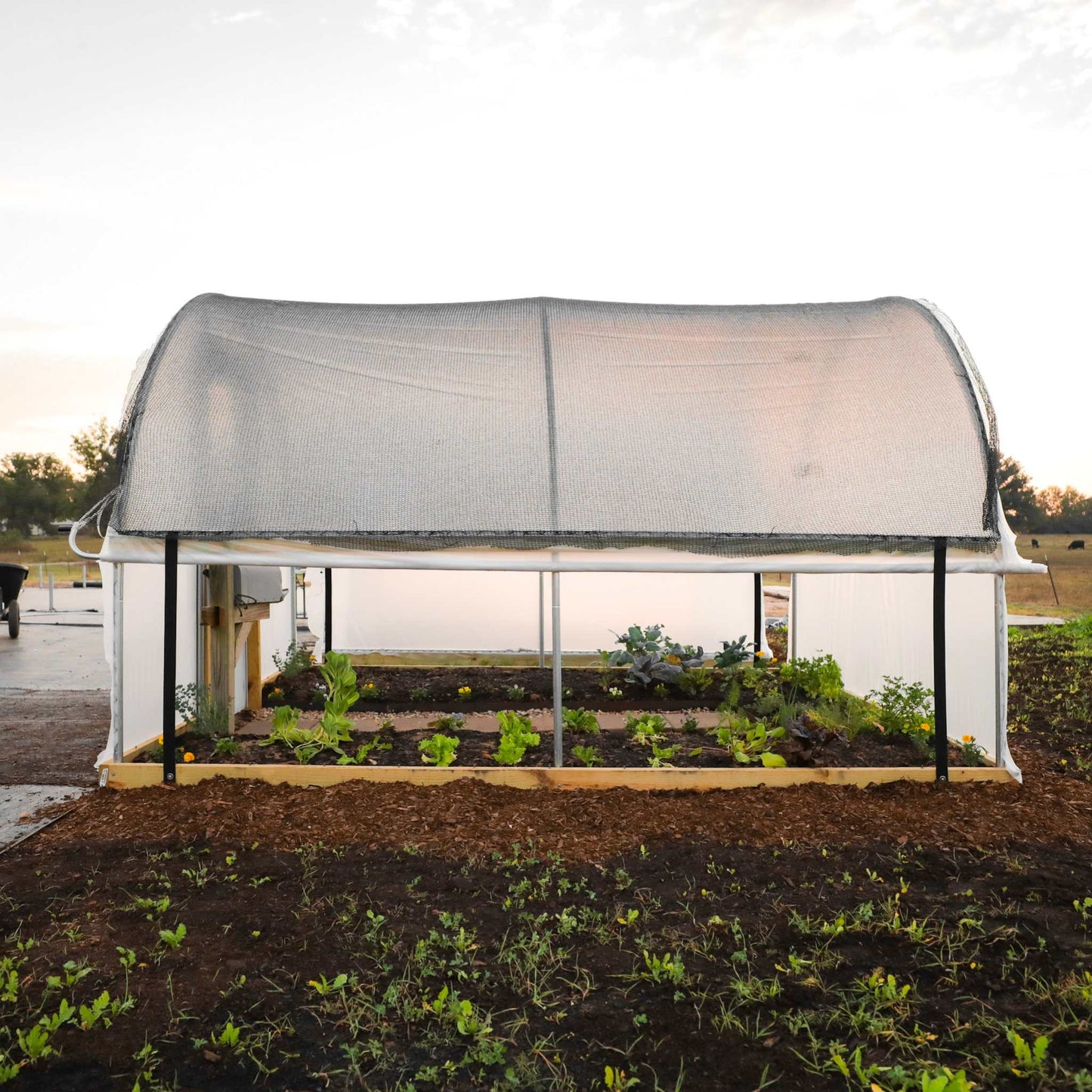 Bootstrap Farmer Roll-Up Side Kit for 12ft Hobby Greenhouse, showing adjustable side panels on a clear greenhouse frame.