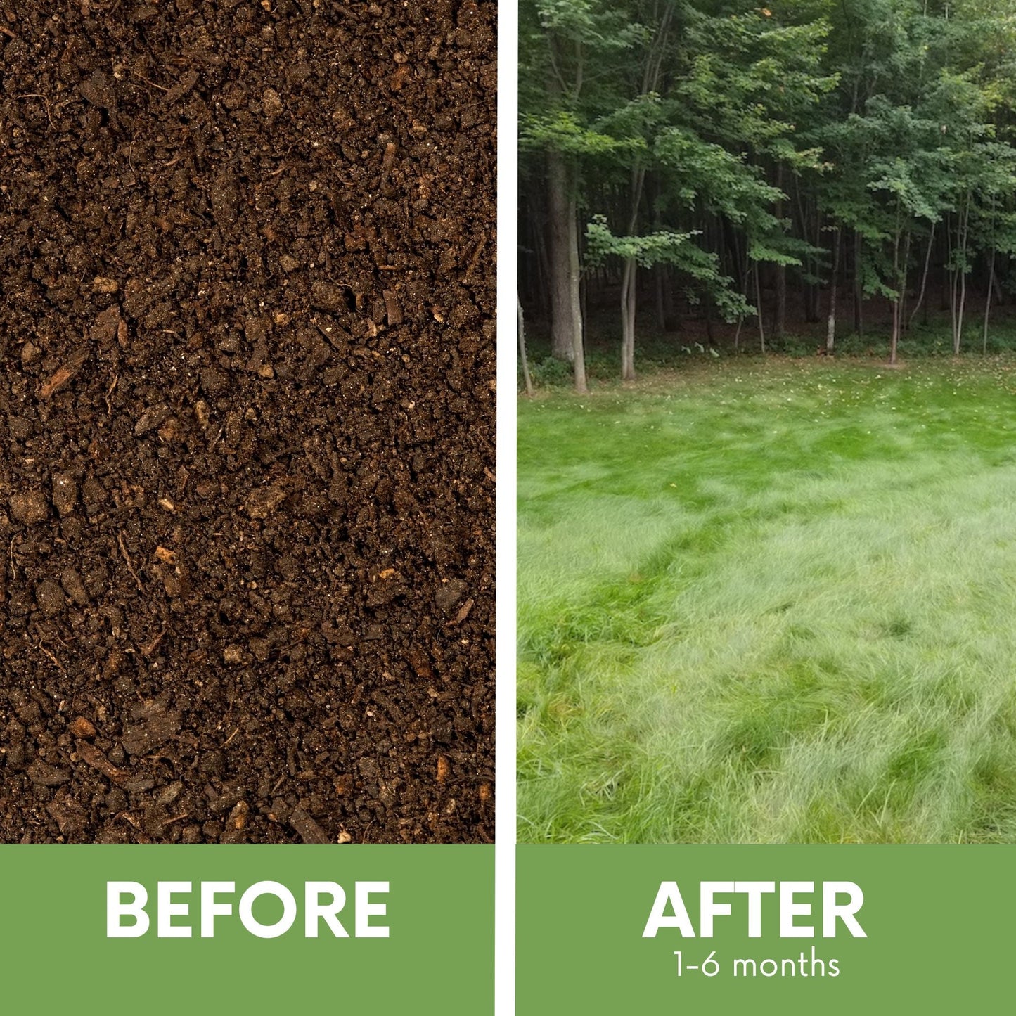 Close-up of Simple Lawn Fine Fescue grass seed tape from Flawn Seed Kits showing lush, healthy grass growth after planting.