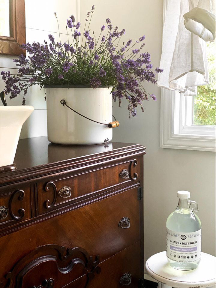 Laundry Detergent | Lavender & Lemon