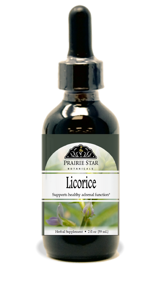 Prairie Star Botanicals single licorice root piece on a white background, showcasing natural dried licorice root for herbal use.