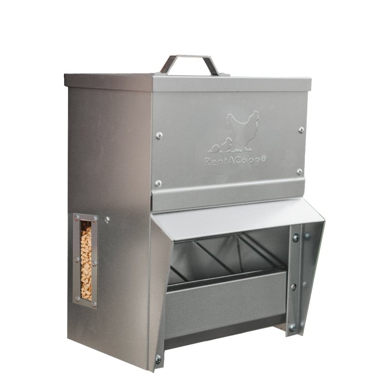 RentACoop galvanized chicken feeder with a 10lb capacity, featuring durable construction and a secure lid for poultry feeding.