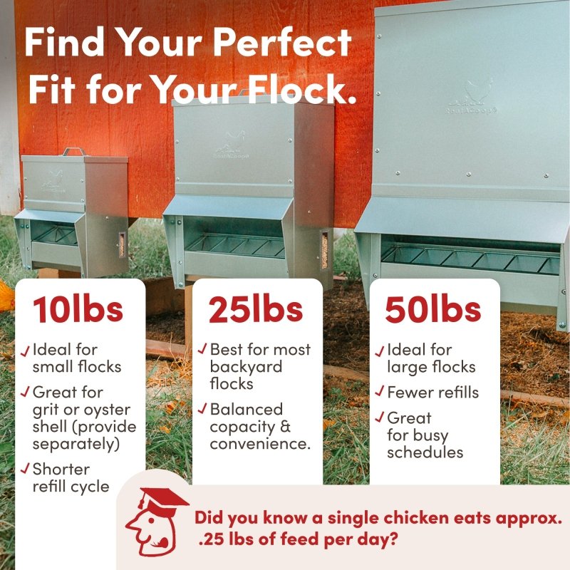 RentACoop galvanized chicken feeder for 10lb capacity, durable metal design, ideal for poultry feeding in coops.