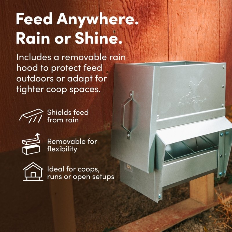 RentACoop galvanized 10lb chicken feeder with durable metal construction and easy-access feeding design.