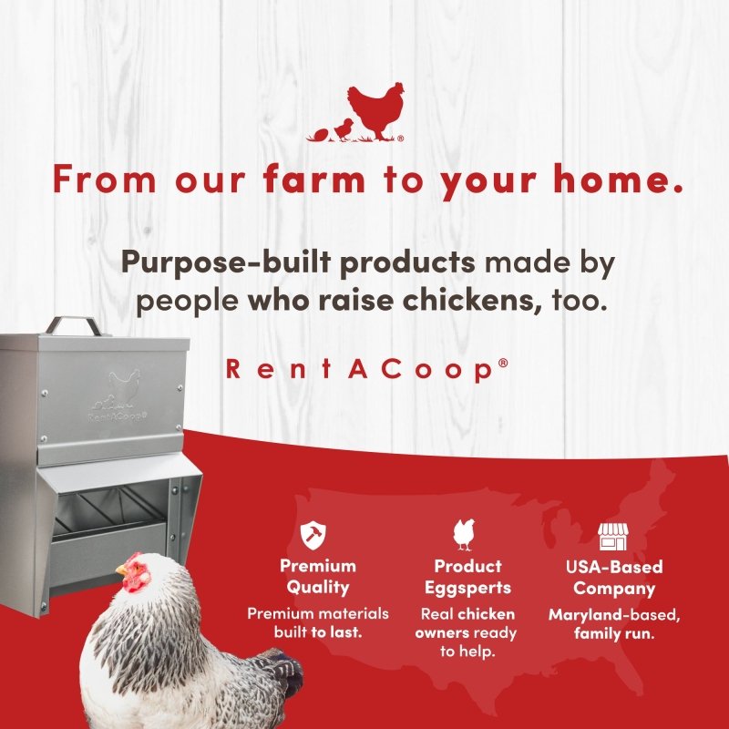 RentACoop galvanized chicken feeder with 10lb capacity, durable metal design for easy feeding of poultry.