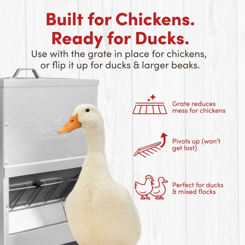 Galvanized 25lb chicken feeder from RentACoop with durable metal construction and easy-to-use design for poultry feeding.