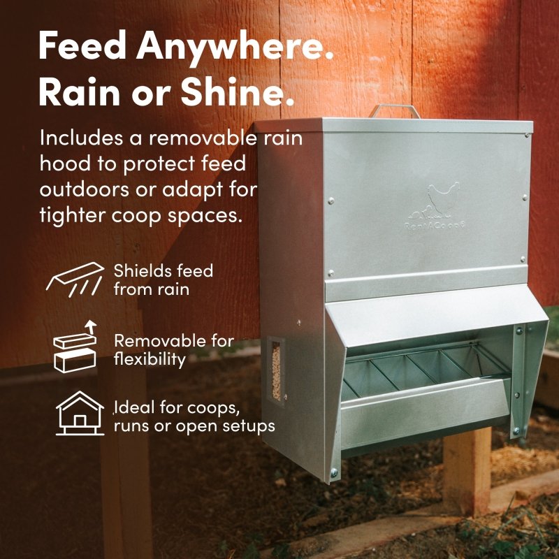 RentACoop galvanized 25lb chicken feeder with durable construction and easy access for feeding poultry.