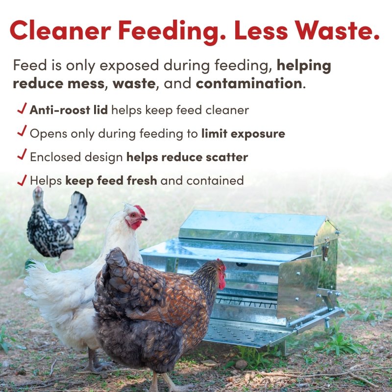 RentACoop 25lb metal treadle feeder for poultry, automatic feeding and watering system with durable construction.