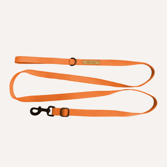 Hemp cotton dog leash and collar set by Tilley + Me, durable, adjustable, lightweight, soft, with a Malibu sunset design.