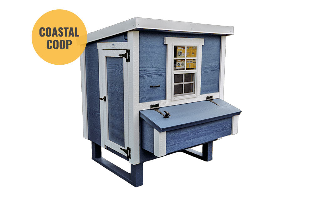 Medium OverEZ Chicken Coop designed for up to 10 chickens, featuring a coastal style with nesting and outdoor space.