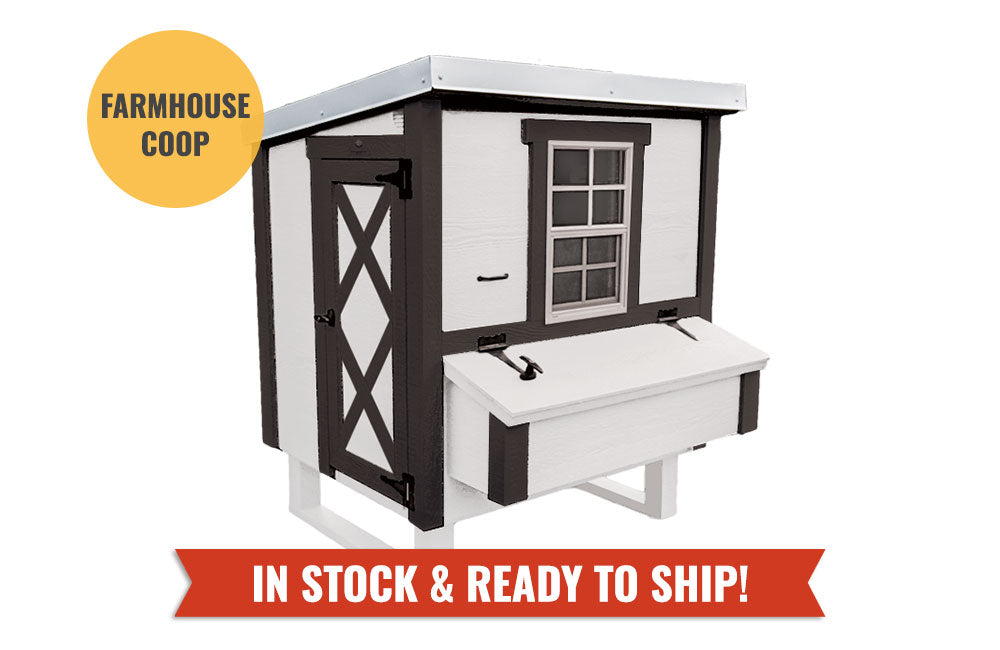 White medium chicken coop by OverEZ, designed for up to 10 chickens, featuring a farmhouse style with sturdy construction.