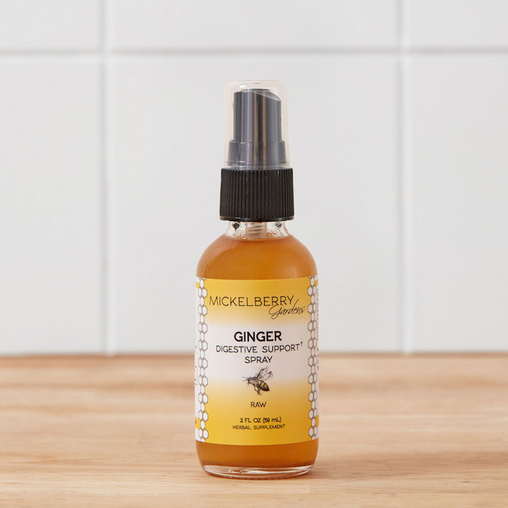 Mickelberry Gardens Ginger Digestive Support Spray in a 2oz honey tonic bottle, designed to aid digestion naturally.