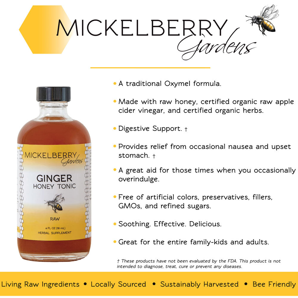 4oz bottle of Mickelberry Gardens Ginger Honey Tonic featuring fresh ginger and honey in a clear glass bottle.