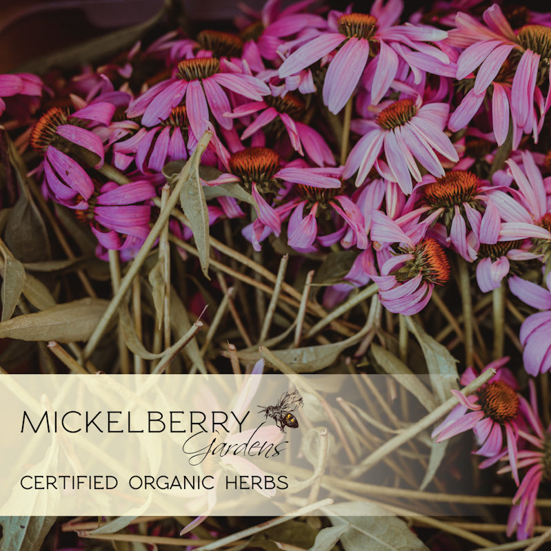 Organic Honey Propolis Throat Spray from Mickelberry Gardens with herbal ingredients and echinacea in a natural herbal tonic bottle.