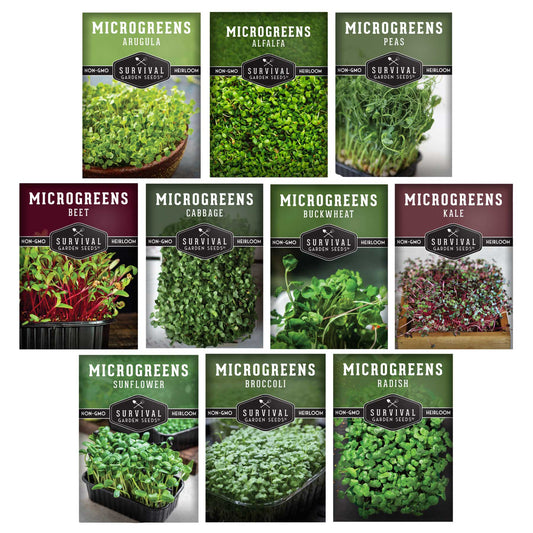Assorted microgreens seeds pack with 10 varieties from SurvivalGardenSeeds, ideal for indoor sprouting and year-round nutrition.