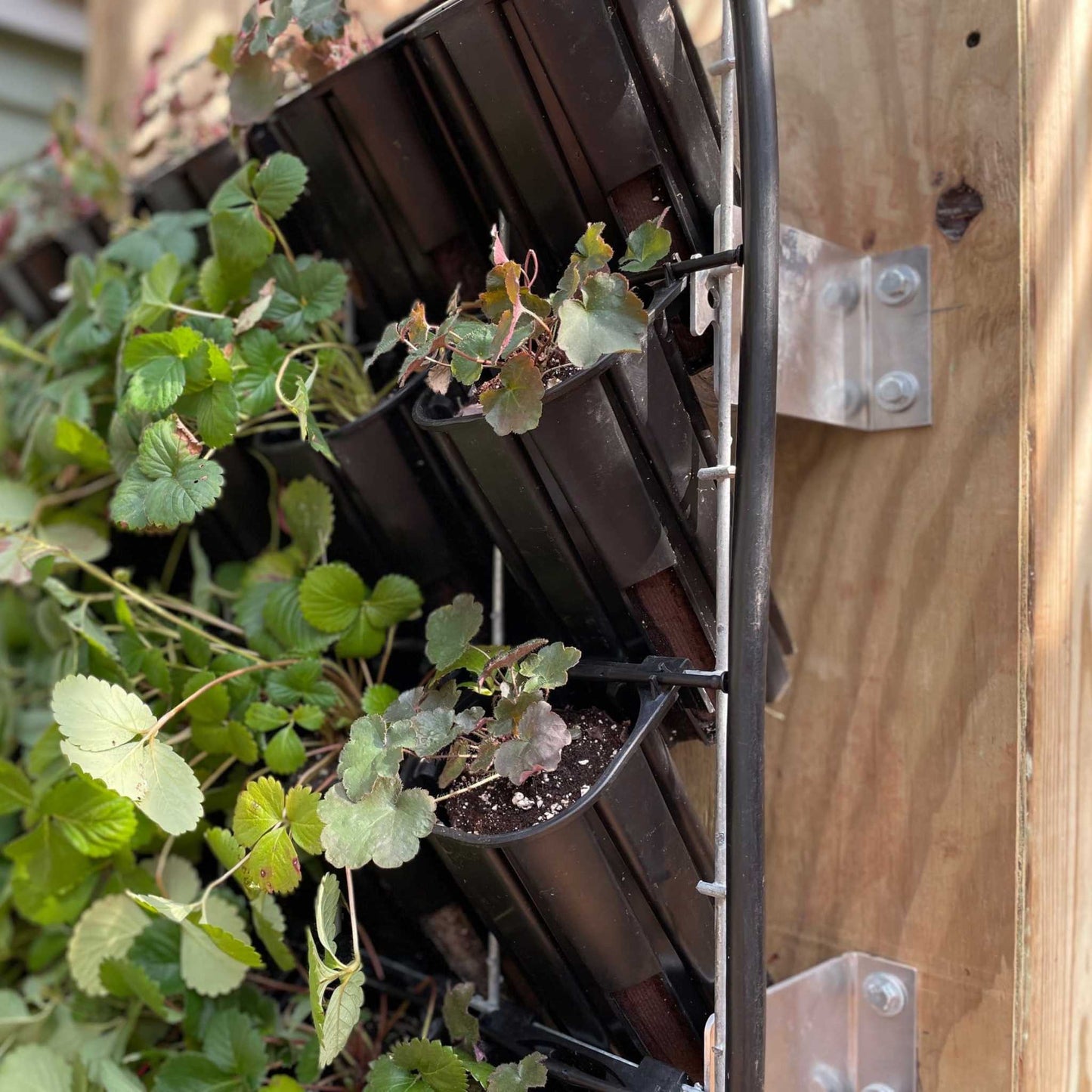 Bootstrap Farmer mounting cleats attached to a surface for secure support and stability.