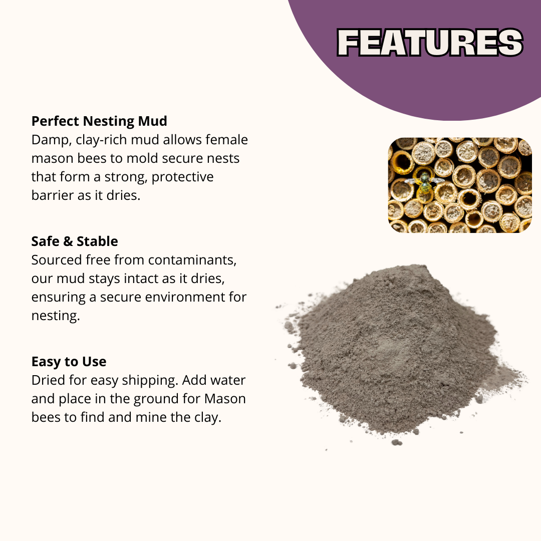 Spring Mason Bee Mud Box by CrownBees featuring natural mud mix for bee nesting and habitat protection.