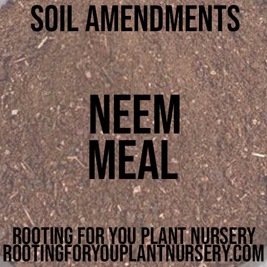 Neem Cake Neem Meal soil amendment from Rooting For You Plant Nursery, showing a bag of organic neem-based fertilizer and soil.
