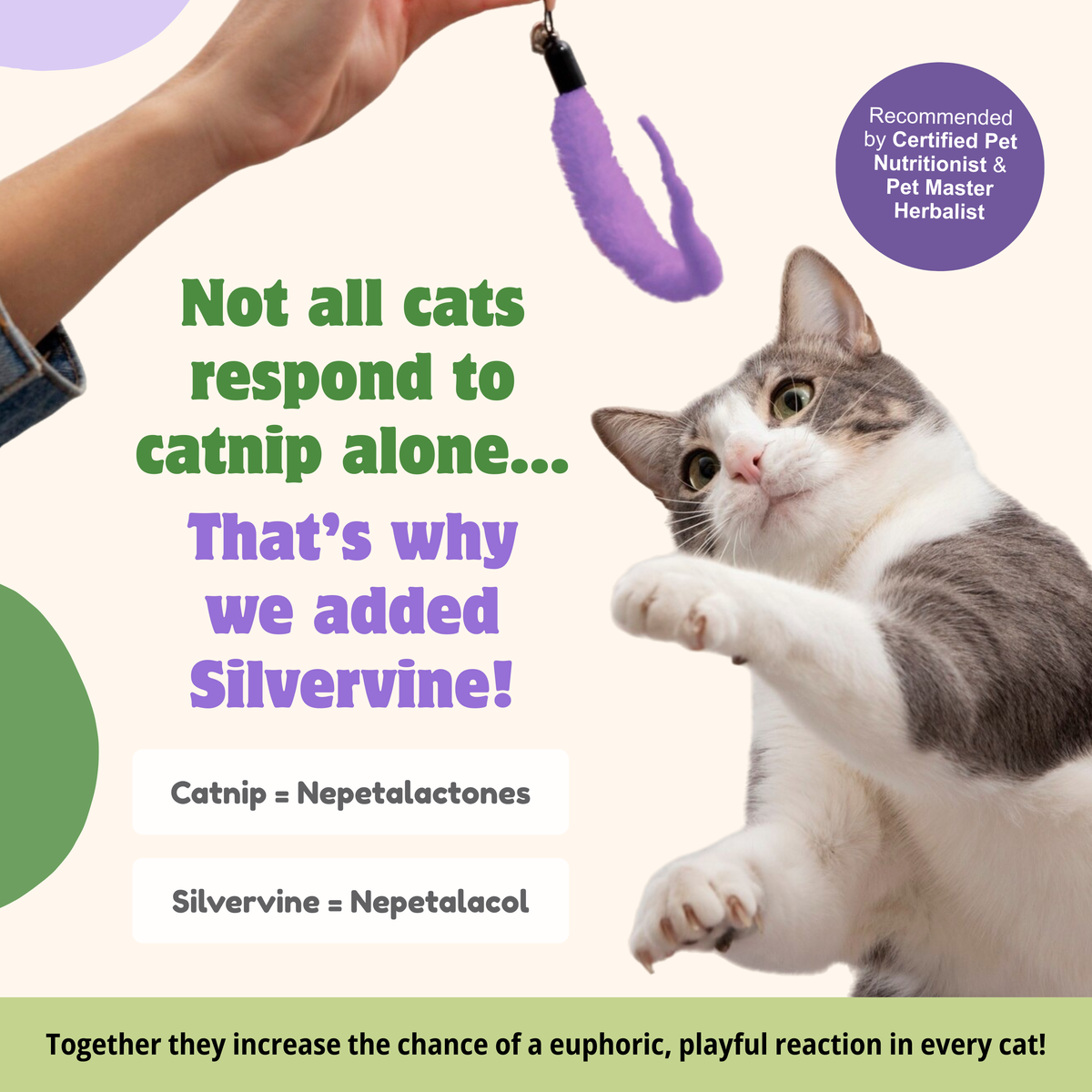 ReNewedPet organic catnip and silver vine mix for cats, shown in a product image