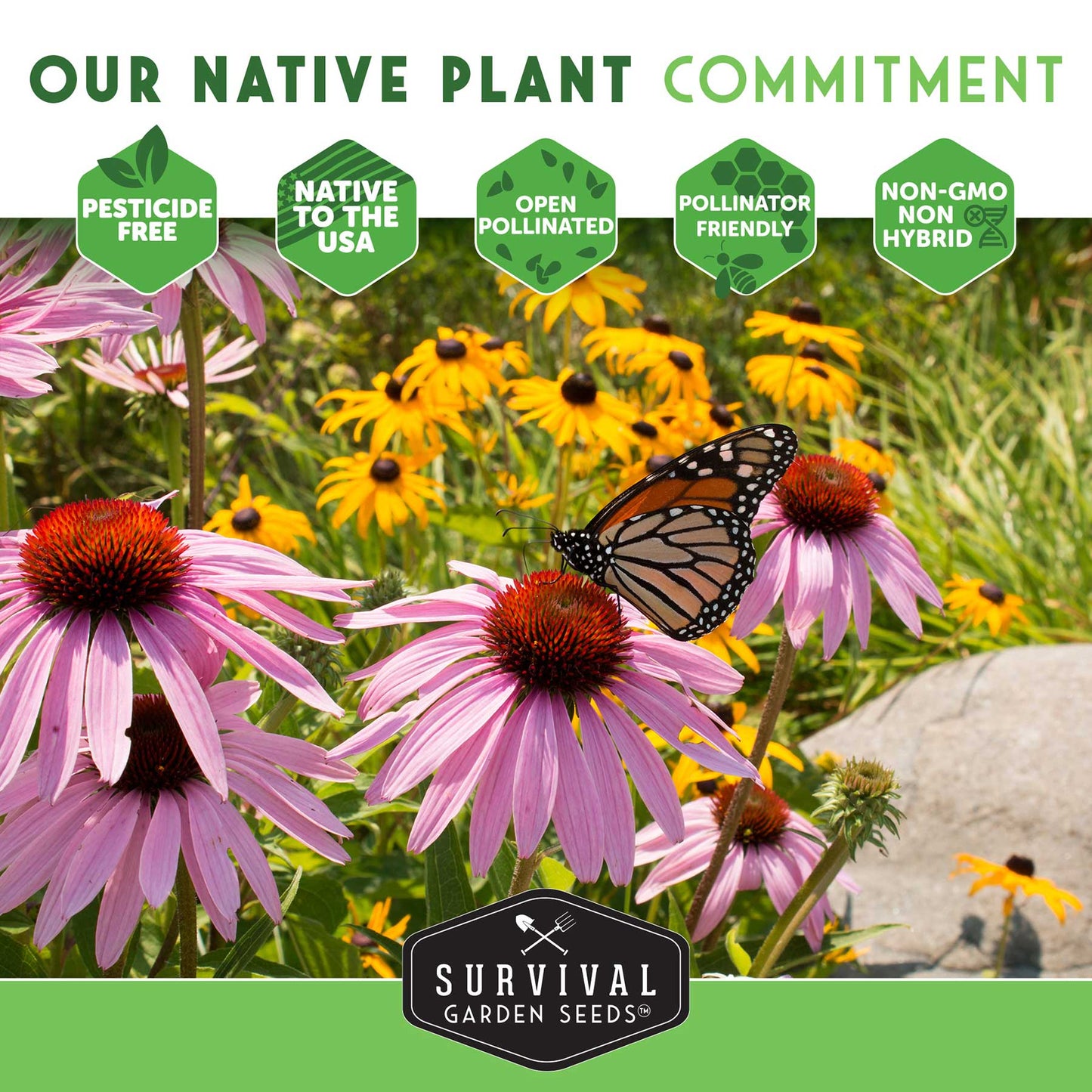 Native Habitat Seed Collection by SurvivalGardenSeeds featuring 24 native wildflowers and grasses for pollinators and low-maintenance landscapes.