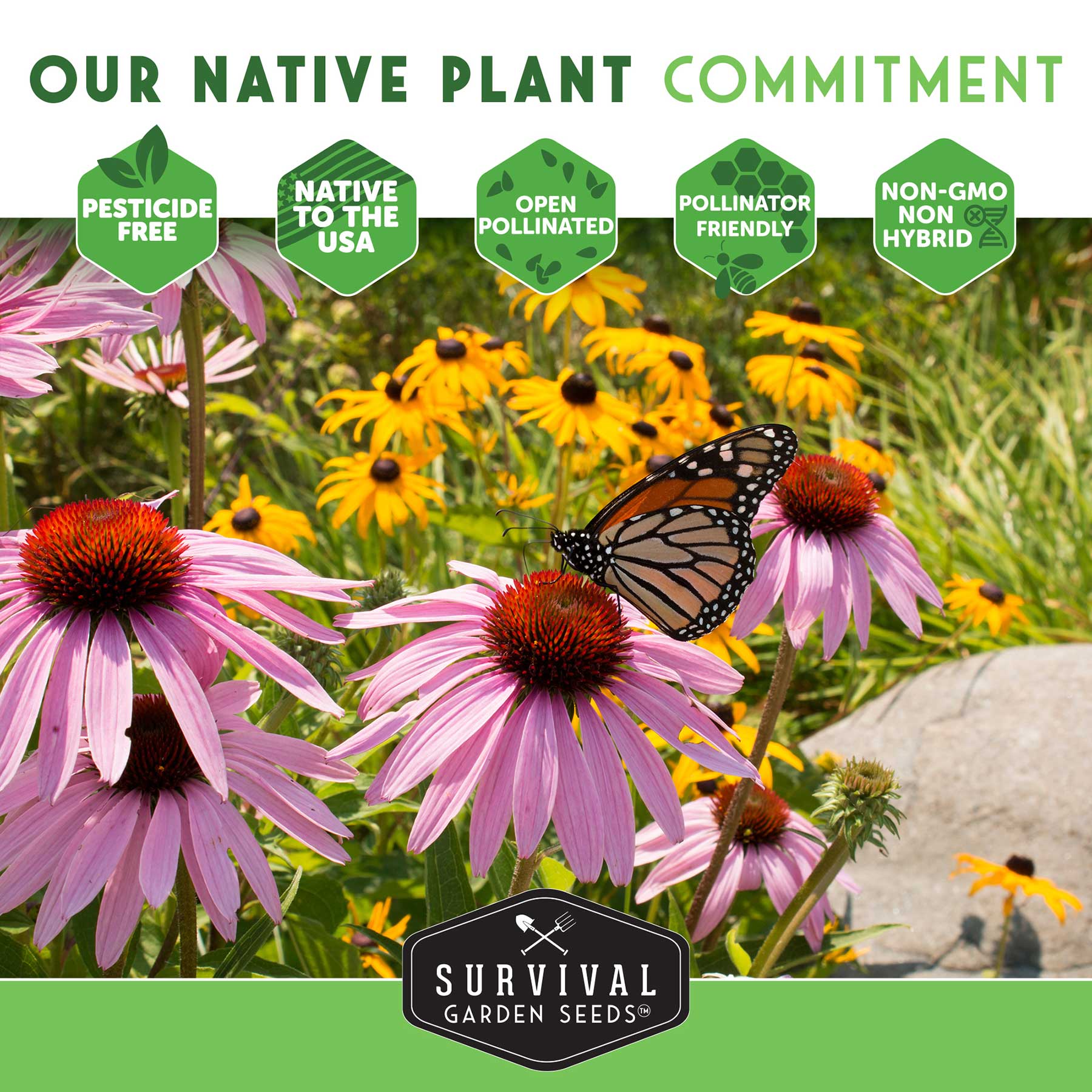 Native Habitat Seed Collection by SurvivalGardenSeeds featuring 24 native wildflowers and grasses for pollinators and low-maintenance landscapes.