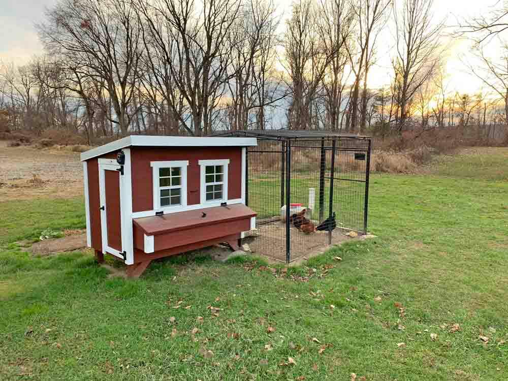 Large OverEZ chicken coop with attached run, designed for up to 15 chickens, featuring spacious design and durable construction.