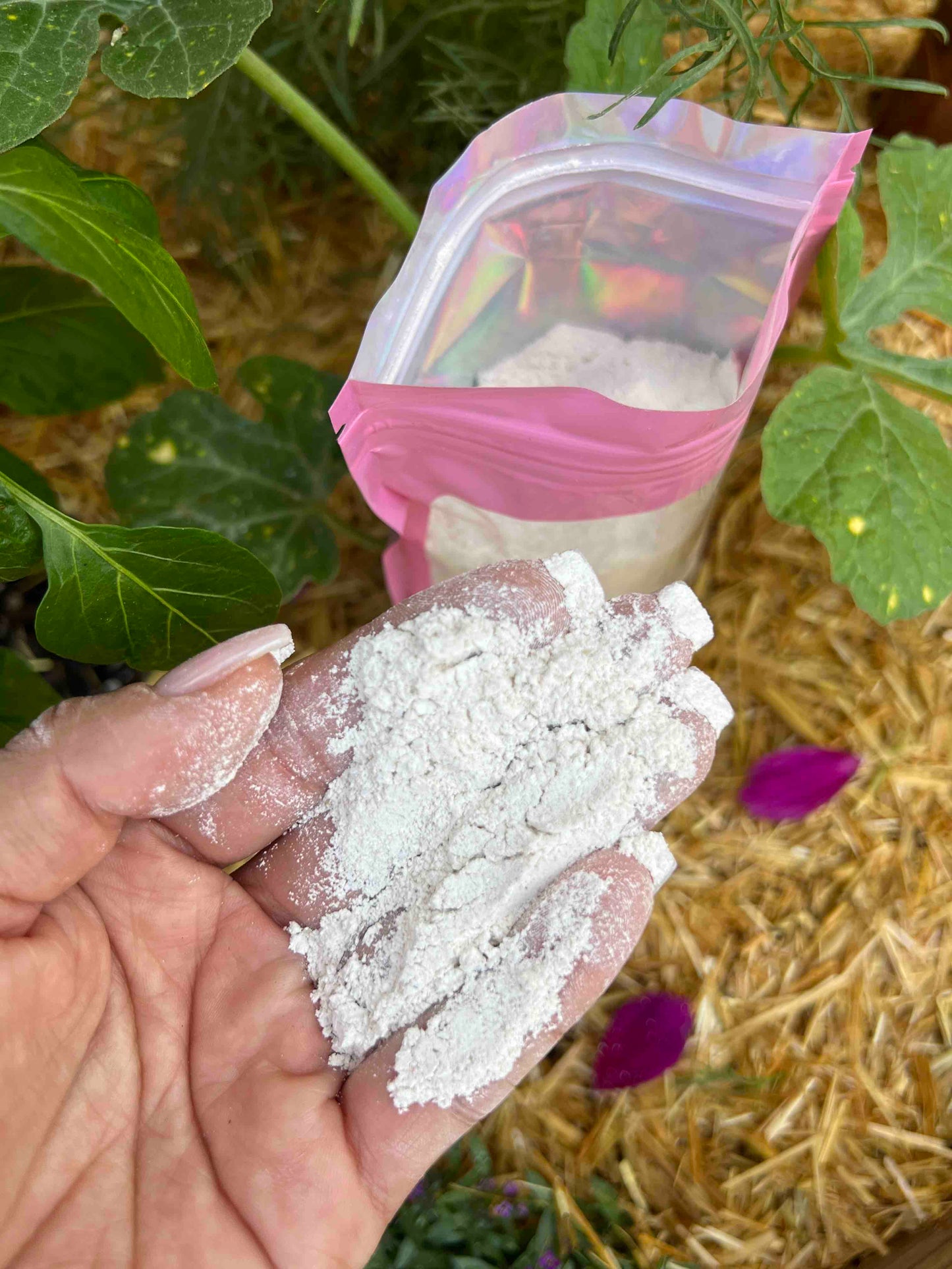 Oyster Shell Flour For Sale For Composting (SC)