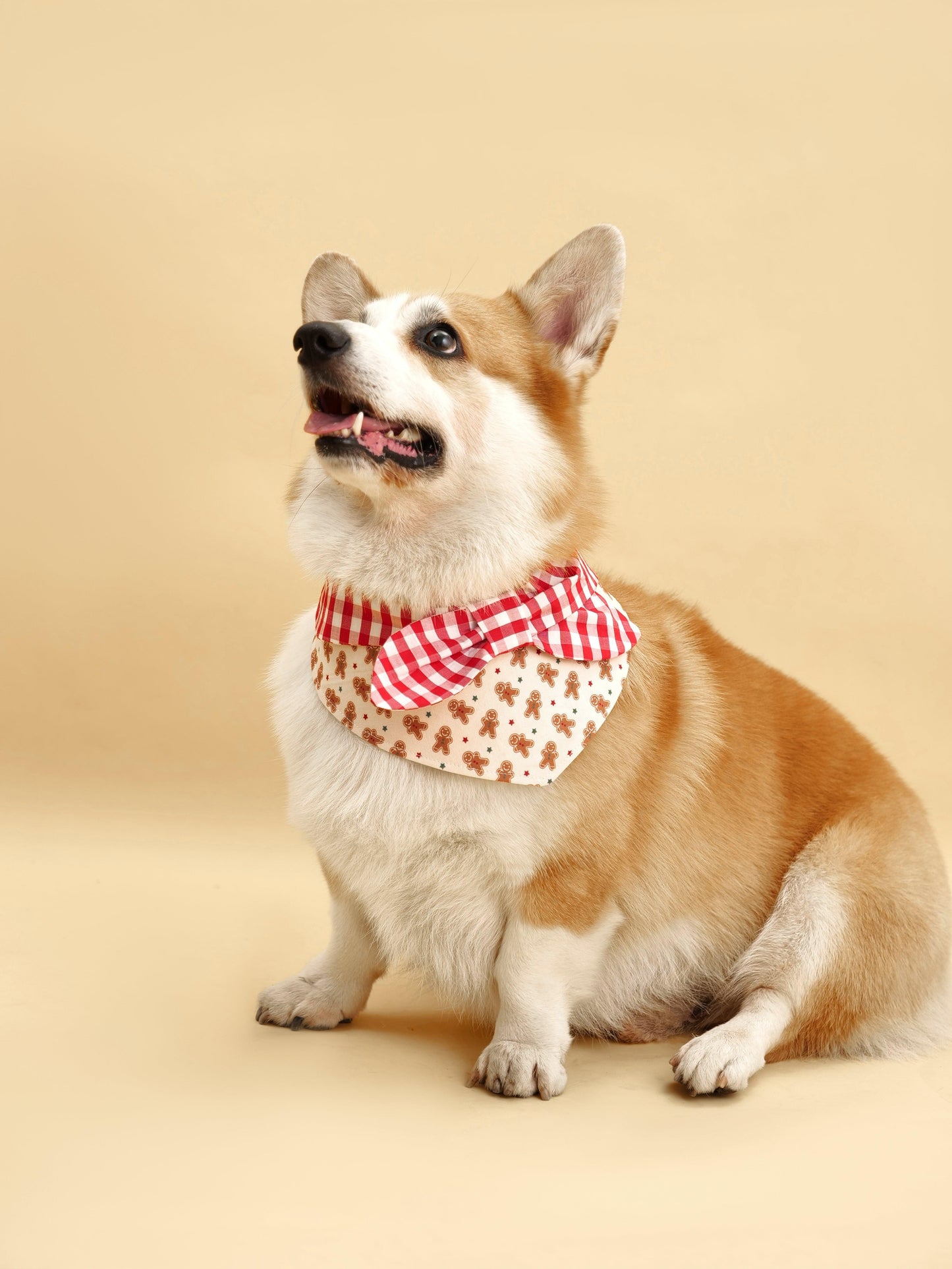 Handmade gingerbread man gingham print bandana for Christmas morning, featuring festive holiday design and soft fabric from BarkBarkBaby.
