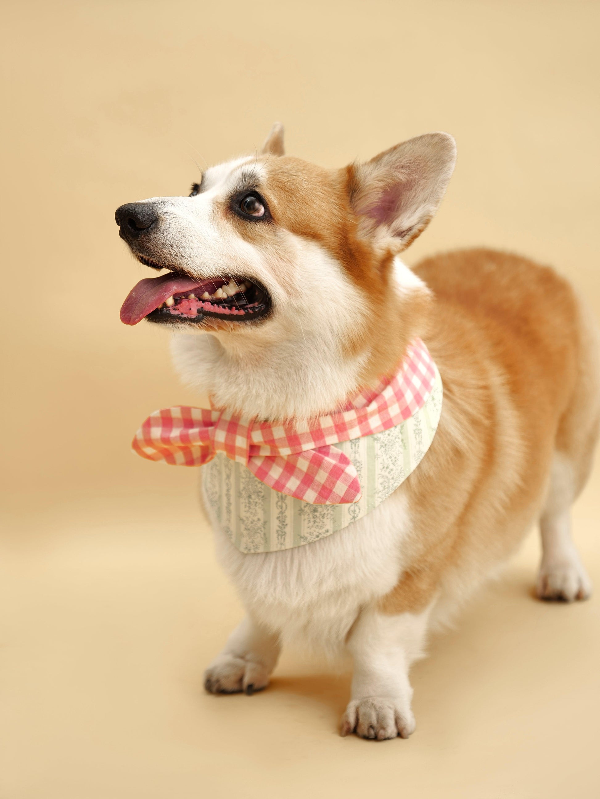 Floral gingham print bandana by BarkBarkBaby featuring bright, colorful floral patterns on classic gingham fabric for kids.
