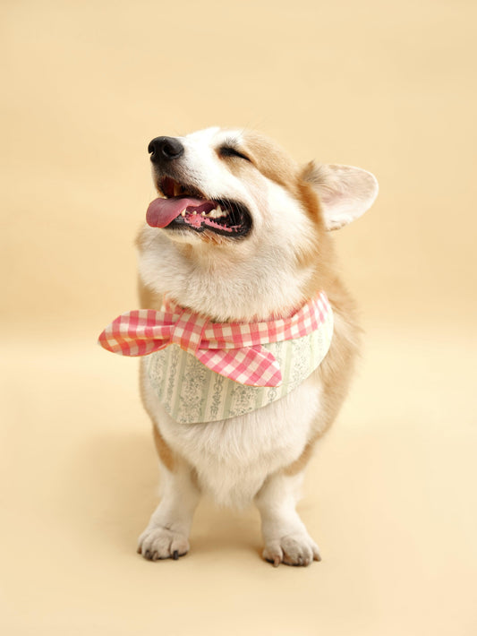 Floral gingham print bandana by BarkBarkBaby featuring a colorful picnic-inspired design for pets or children.