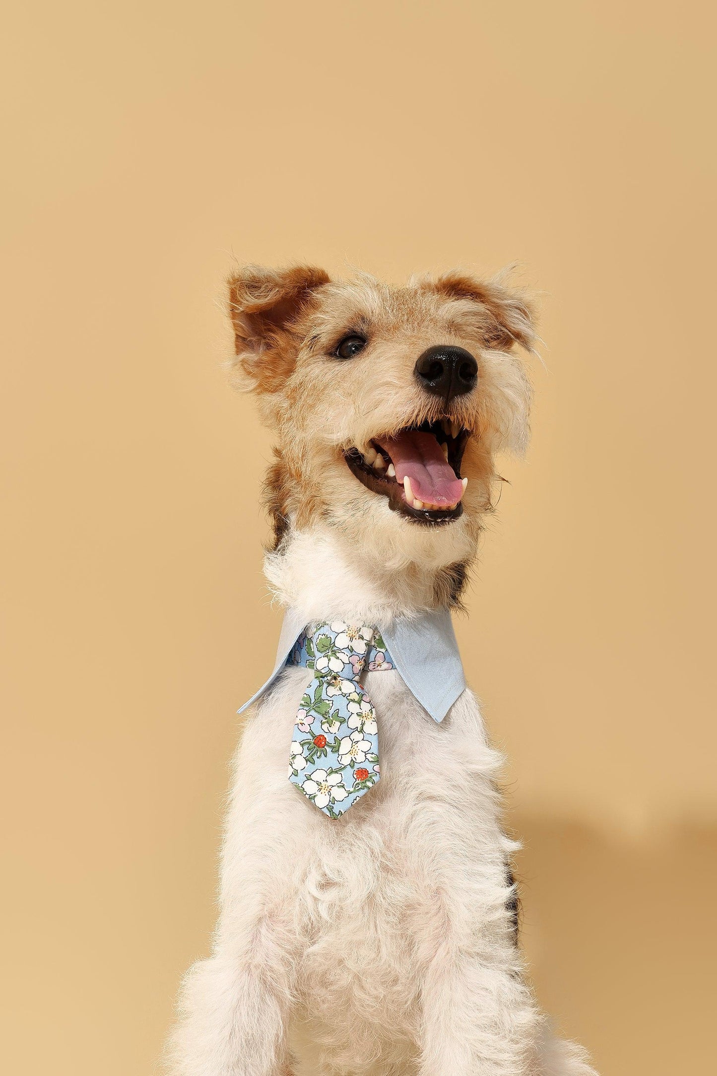 Blue Botanique BarkBarkBaby necktie bandana featuring a vibrant botanical print on soft fabric, styled for pets.
