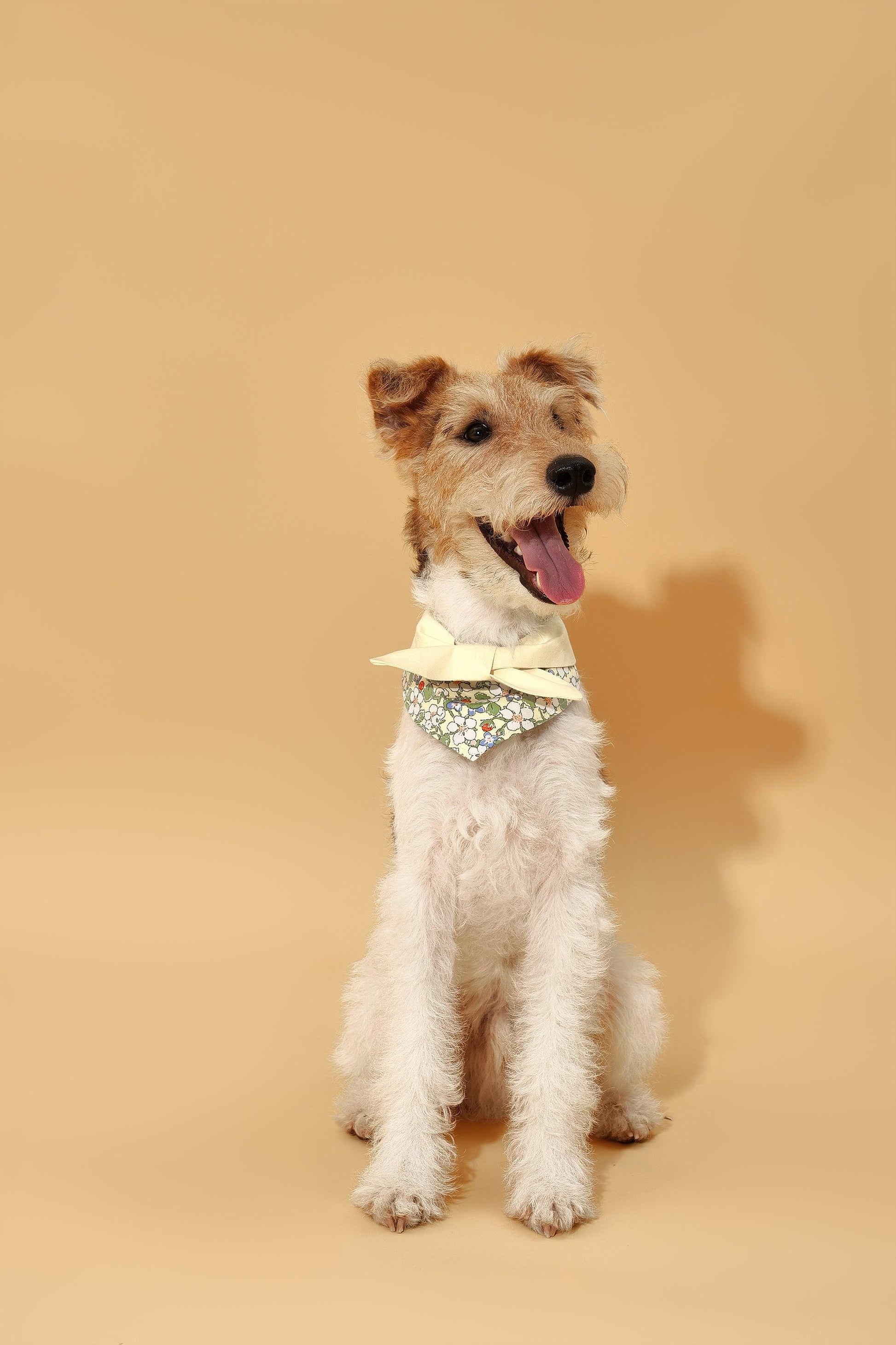 Yellow floral bandana for babies from BarkBarkBaby featuring a cute garden butter yellow floral pattern.