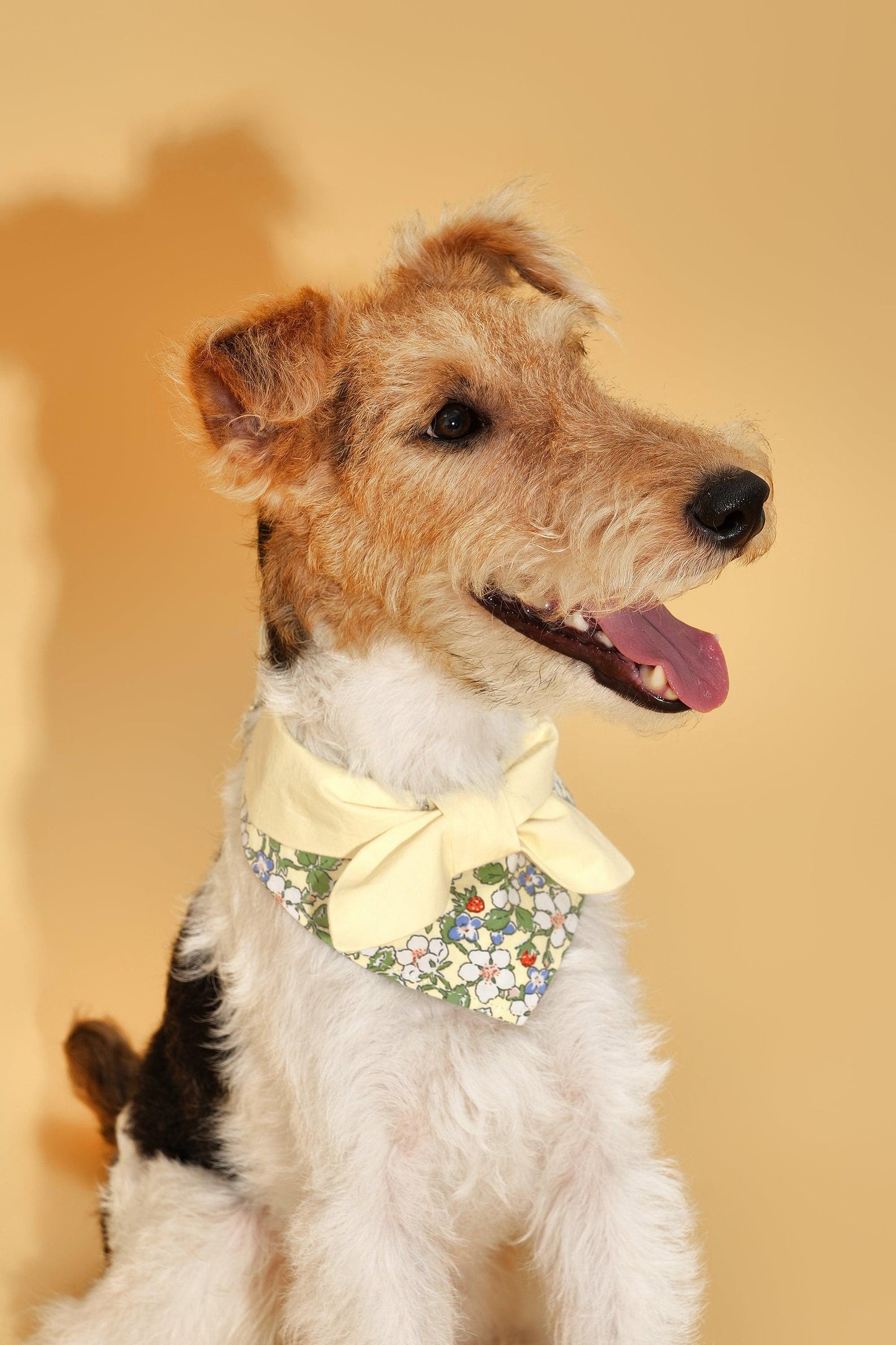 Yellow floral bandana for babies with a bowtiful garden print by BarkBarkBaby, featuring vibrant butter yellow and floral details.