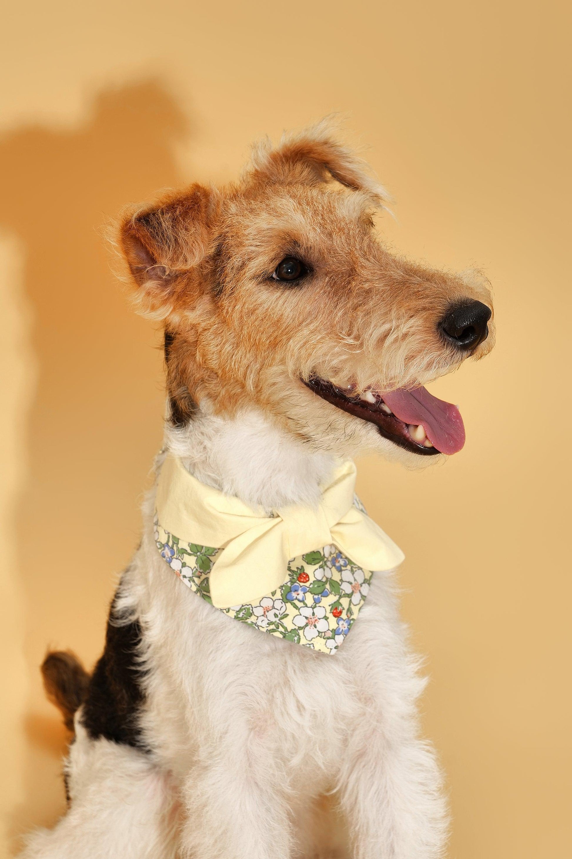 Yellow floral bandana for babies with a bowtiful garden print by BarkBarkBaby, featuring vibrant butter yellow and floral details.