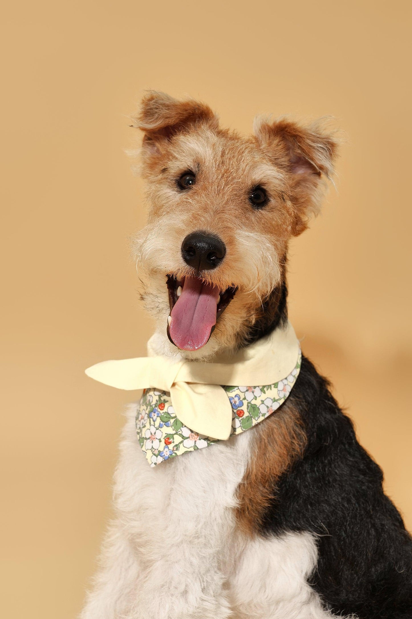 Yellow floral bandana for babies with a bowtiful garden design, by BarkBarkBaby, featuring bright butter-yellow colors and floral patterns.