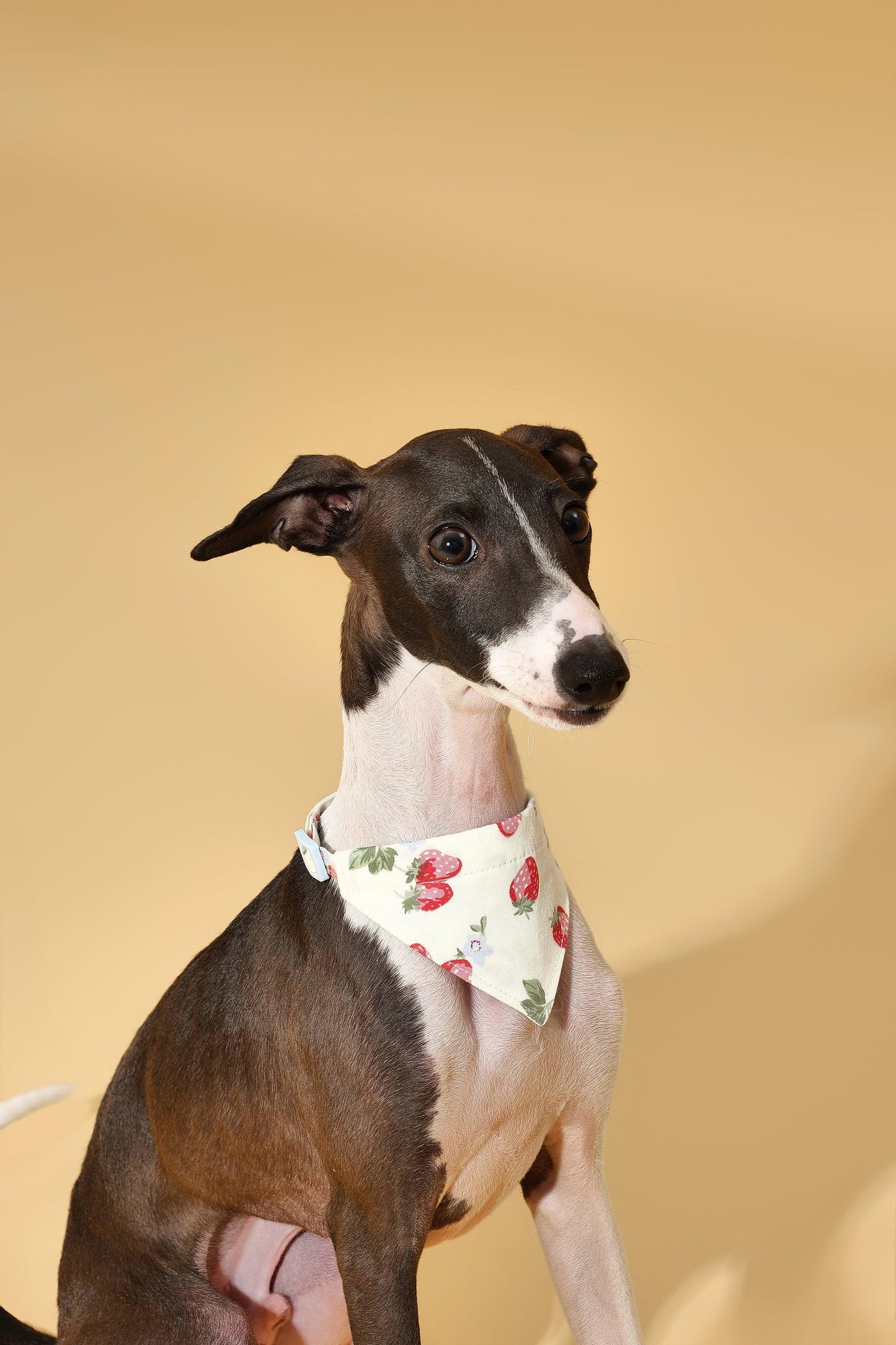 Yellow triangle bandana with strawberry fields pattern from BarkBarkBaby, made for dogs, featuring bright, playful design.