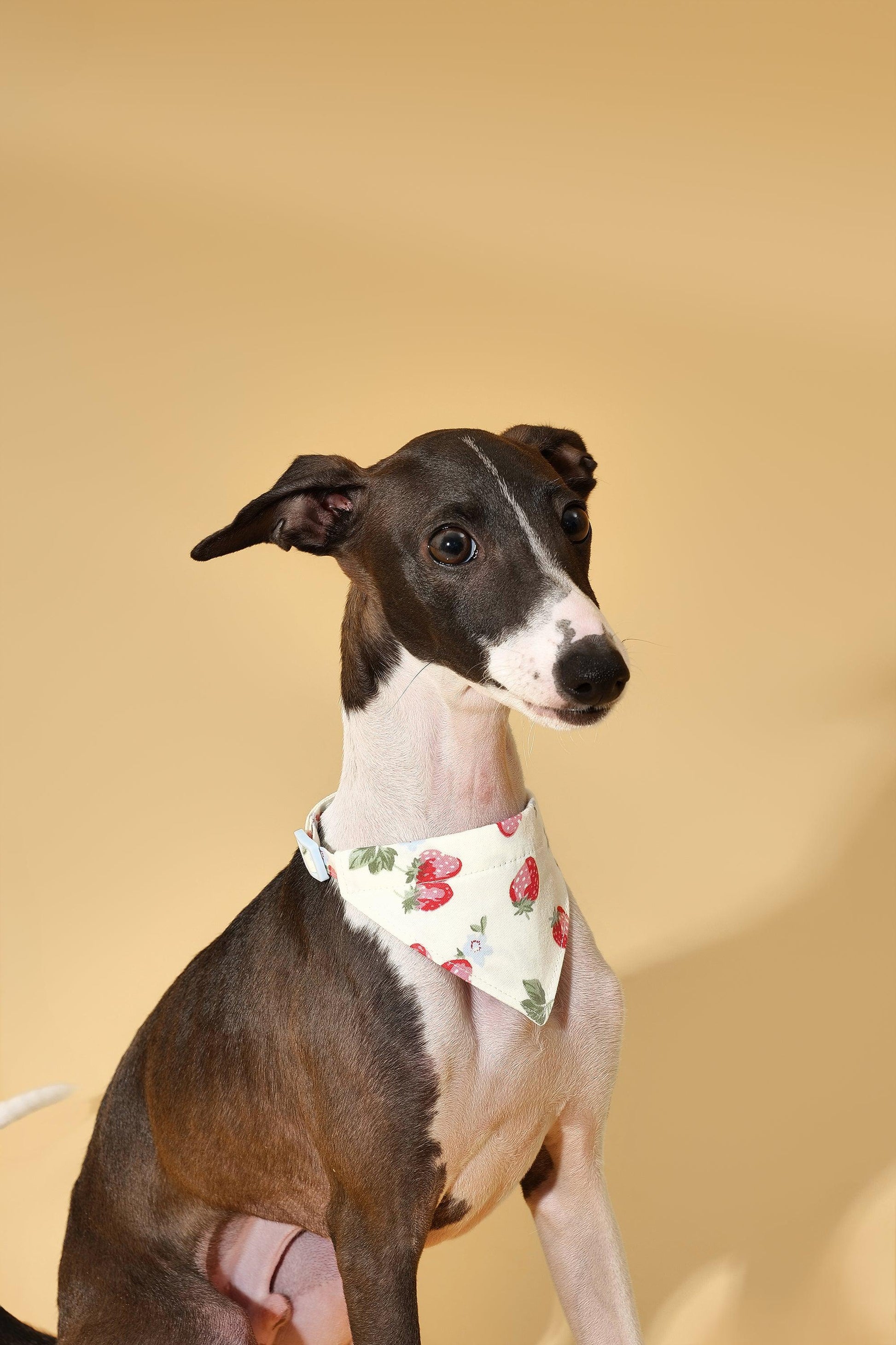 Yellow triangle bandana with strawberry fields pattern from BarkBarkBaby, made for dogs, featuring bright, playful design.