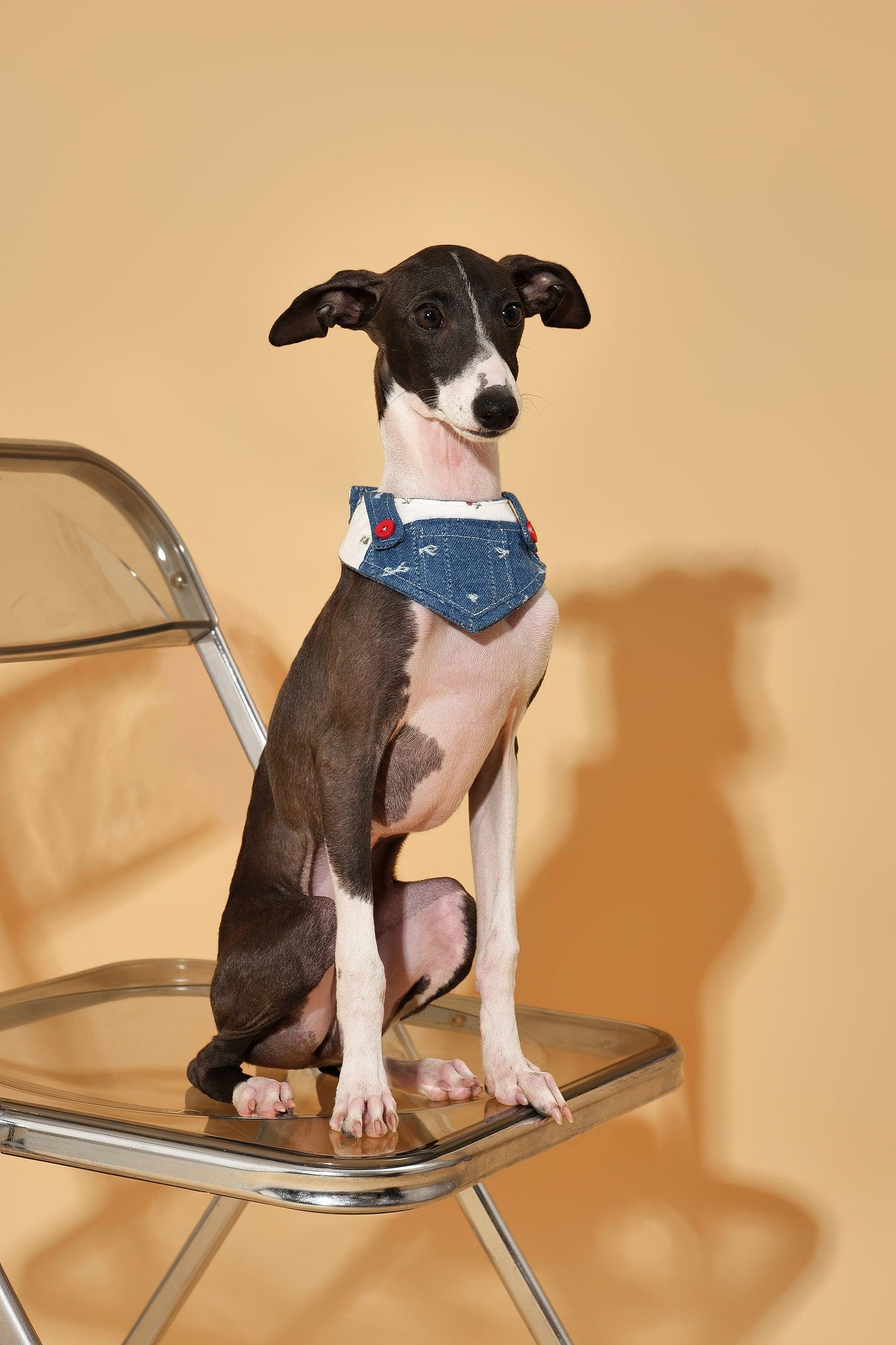 Reversible denim cherry pet bandana from BarkBarkBaby featuring a stylish overalls design with playful cherry print.