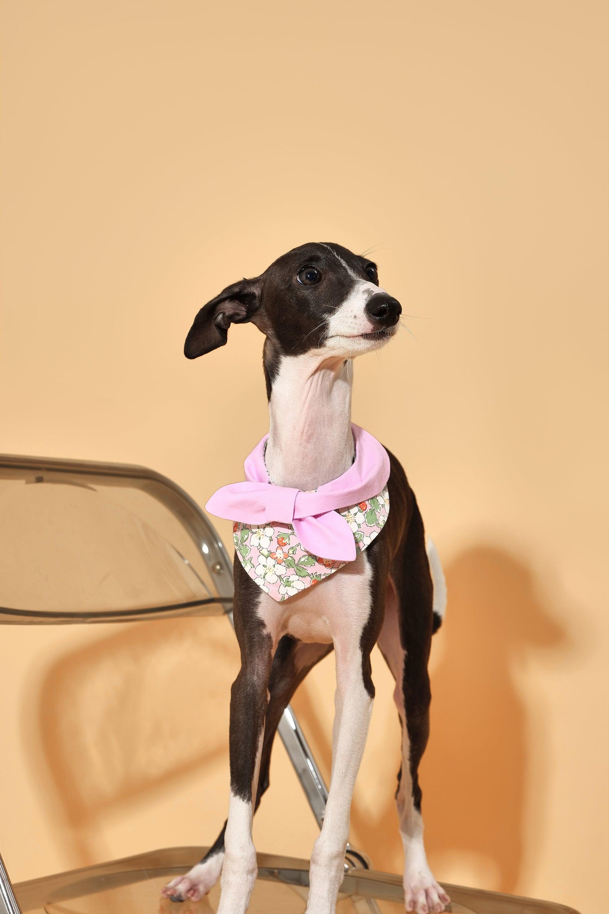 Pink floral bandana for dogs by BarkBarkBaby featuring a charming garden-inspired floral pattern.