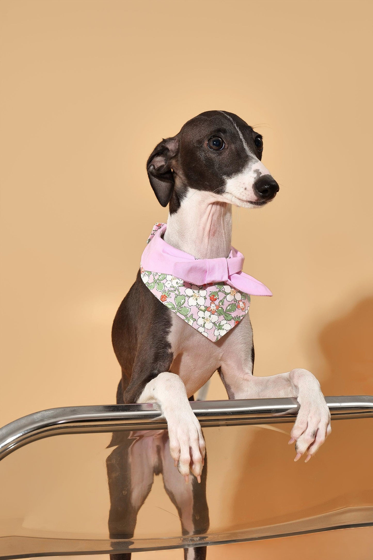 Pink floral bandana for babies with a bowtiful garden pattern by BarkBarkBaby, featuring a soft fabric and colorful floral design.