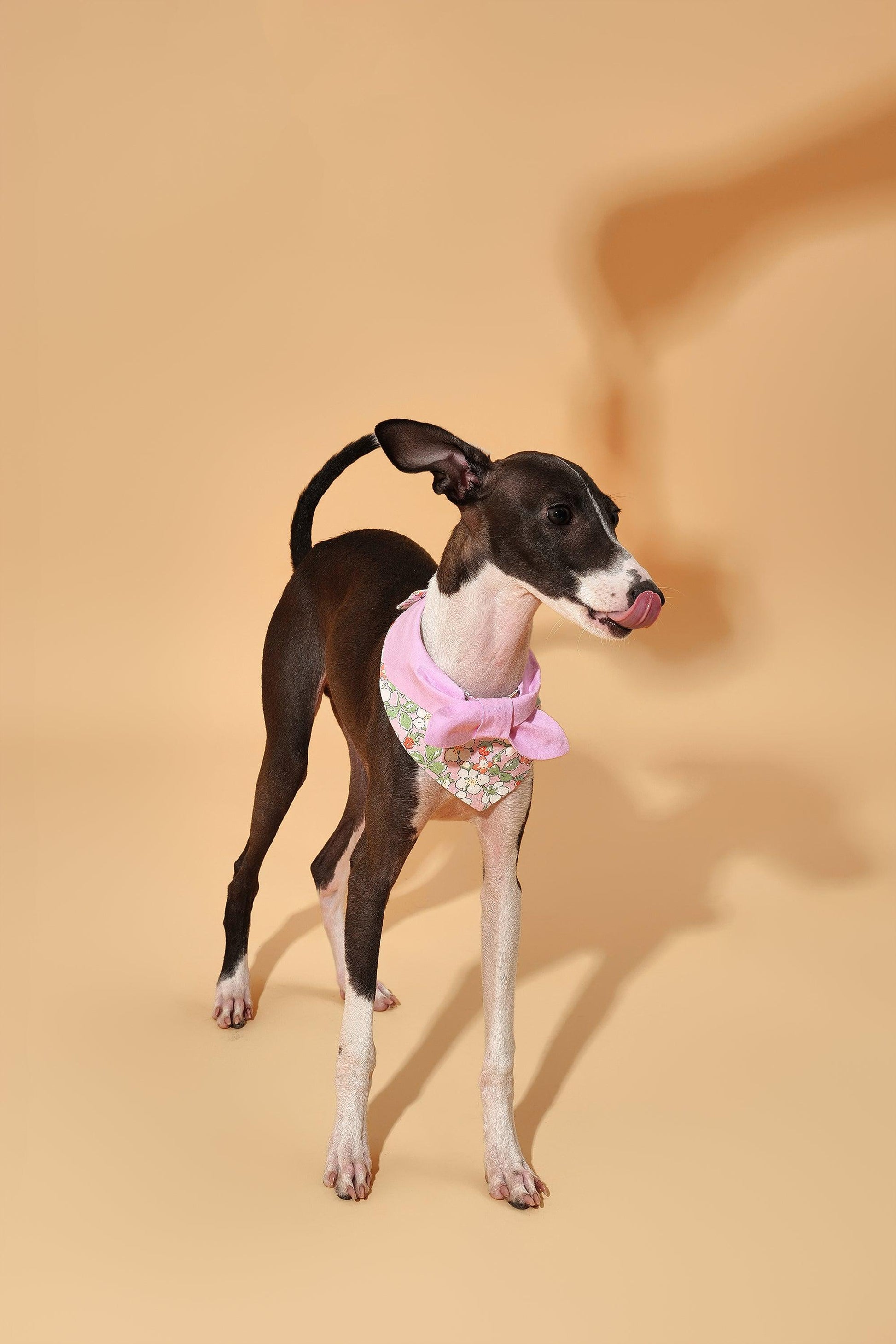 Pink floral bandana for dogs featuring a garden-inspired design by BarkBarkBaby, displayed flat on a white background.
